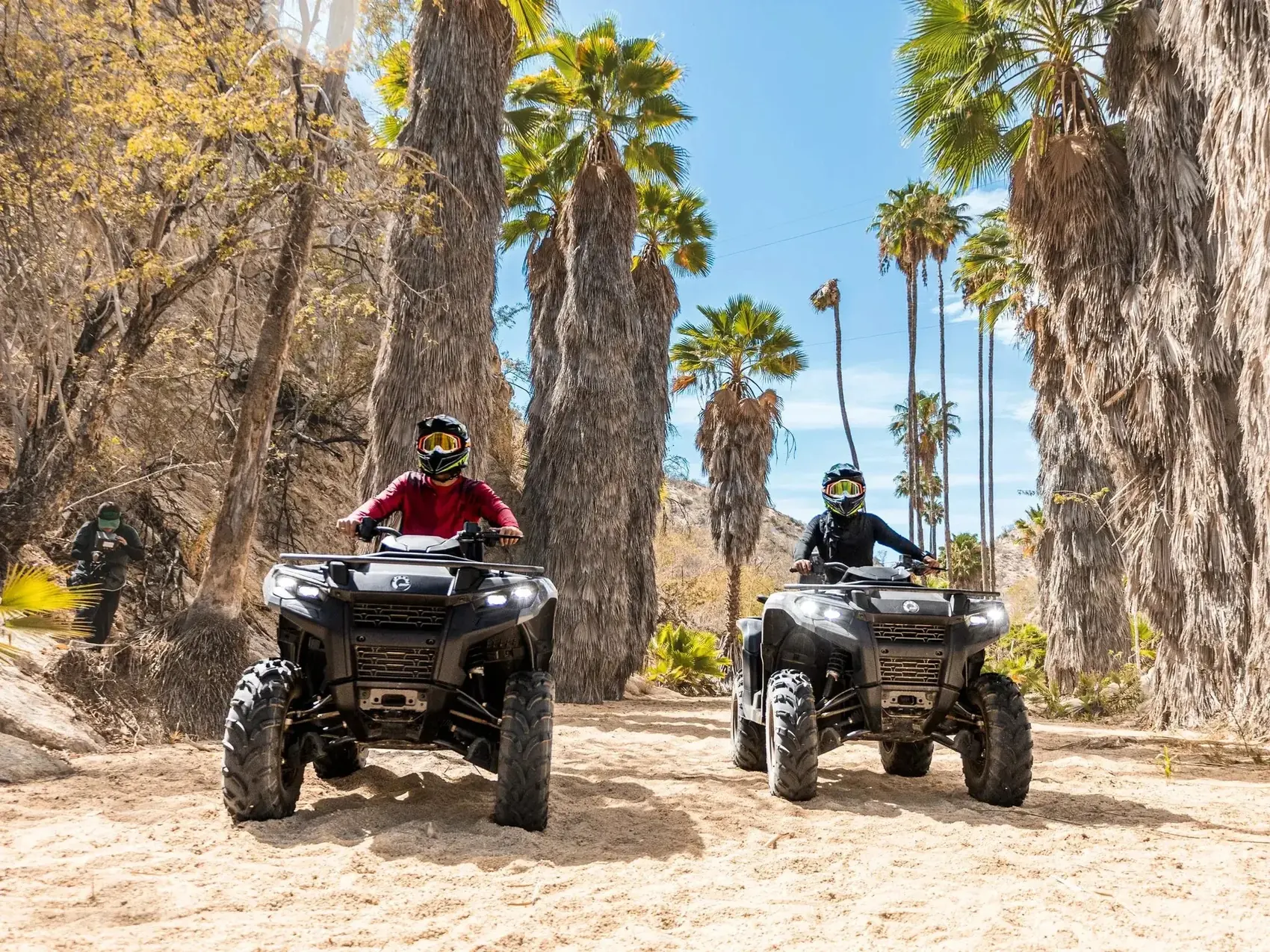 Dos Can-Am ATV recorriendo el sendero del oasis de palmeras