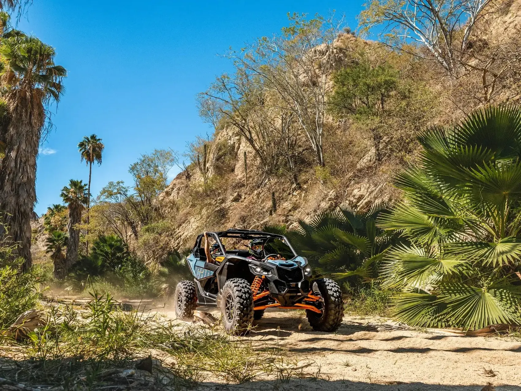 Can-Am Maverick X3 recorriendo el sendero del oasis de palmeras