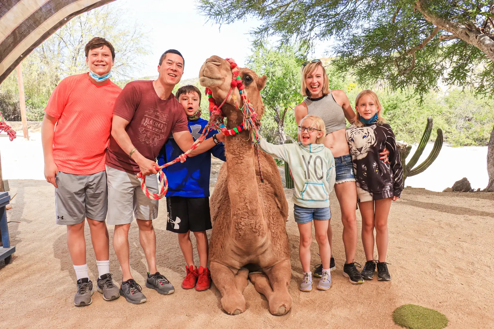 Familia posando junto a un camello arrodillado