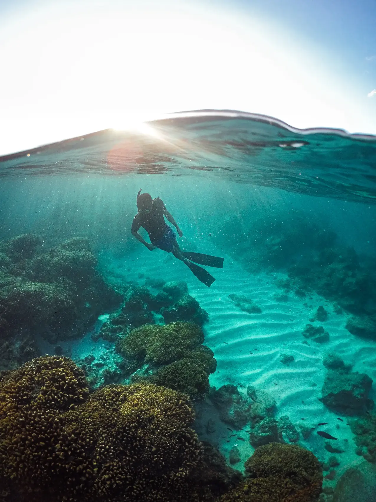 Apneista sobre un arrecife iluminado por el sol, toma mitad sobre mitad bajo el agua