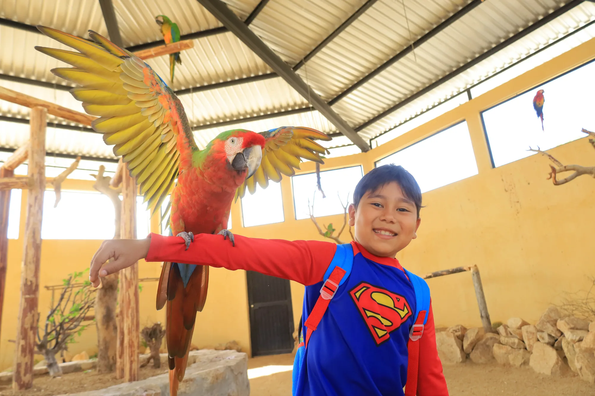 Animal Sanctuary