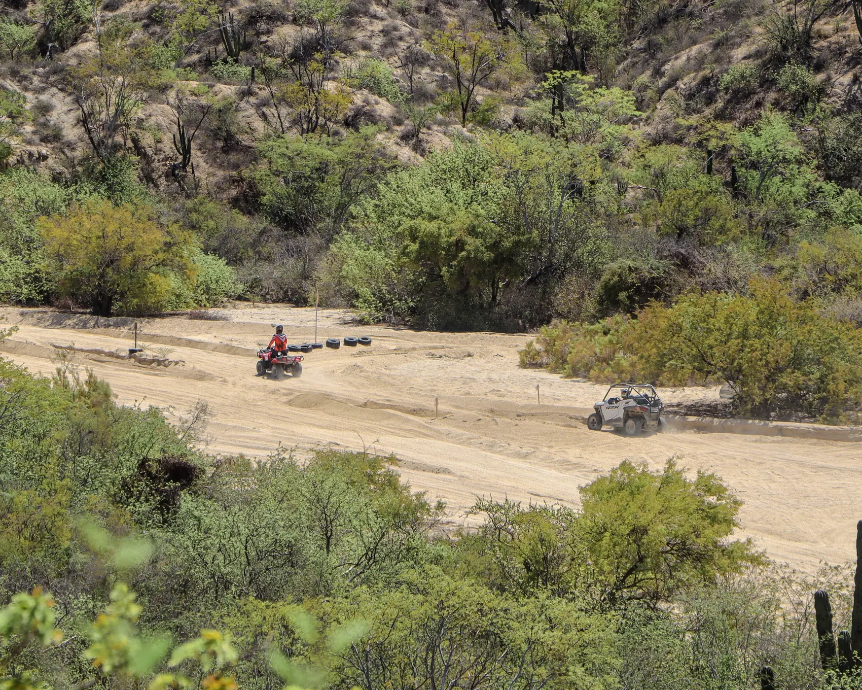 ATV y RZR recorriendo un arroyo entre la vegetacion